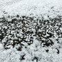 Auftaugranulat 25 kg der umweltfreundliche Streusalzersatz
